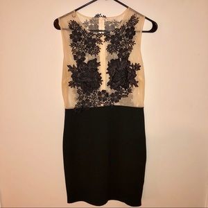 Lace appliqué see through bodycon dress